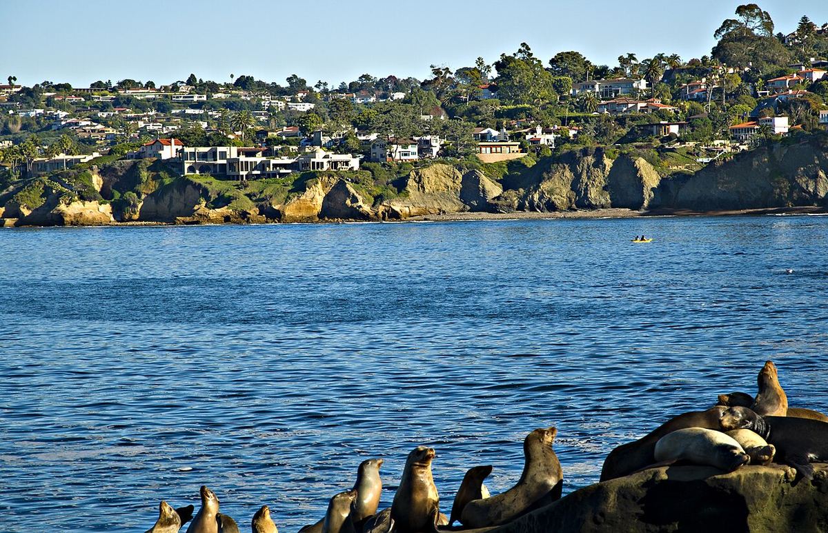 Sea lions on the rocks at La Jolla Cove, San Diego